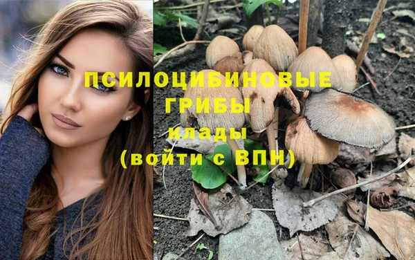 шишки Каменск-Шахтинский