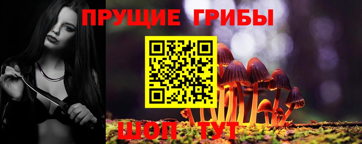 Галлюциногенные грибы GOLDEN TEACHER  Вход с VPN  Галлюциногенные грибы прущие грибы  Саранск 